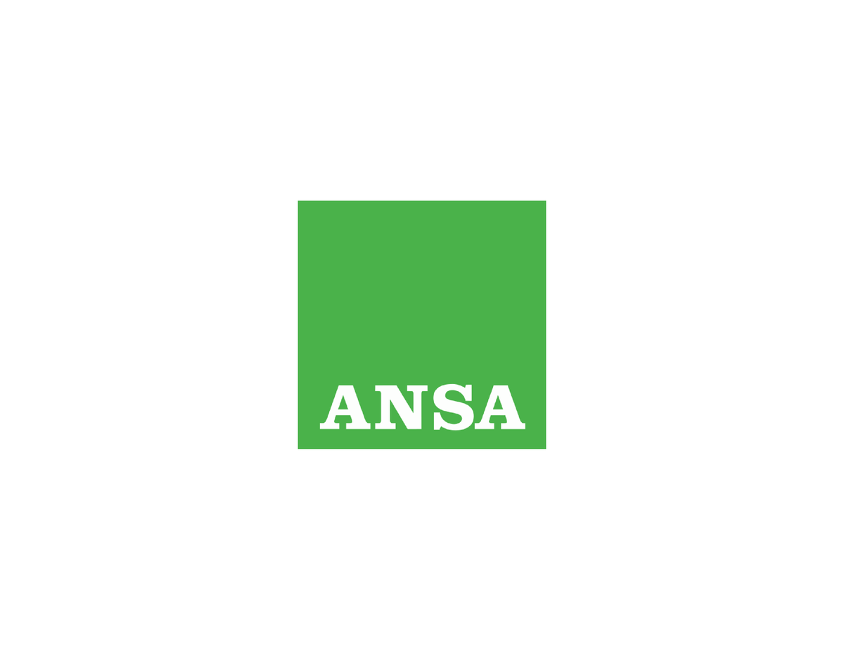 loghi ansa 1