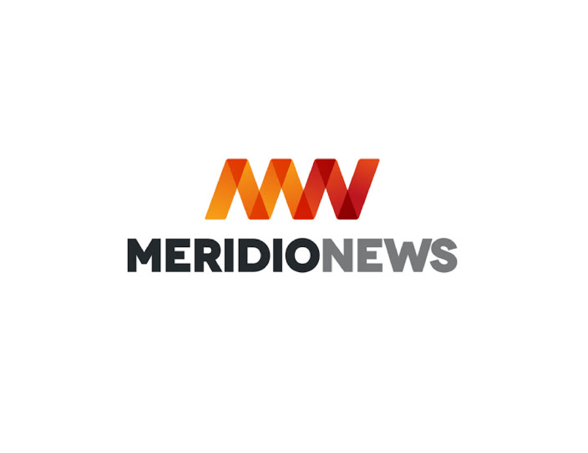 loghi medidionews 1